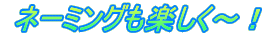 ネーミングも楽しく〜!