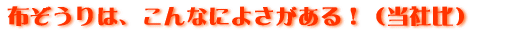 布ぞうりは、こんなによさがある!(当社比)